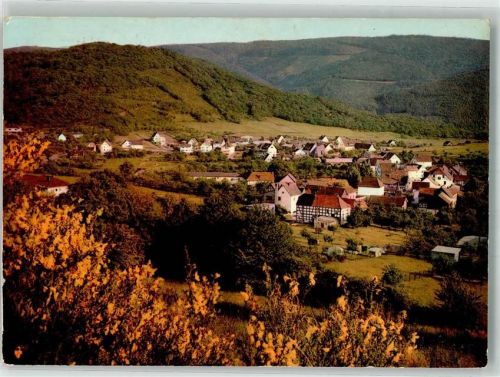 Hasenfeld