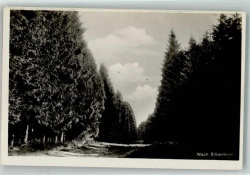 Dassel Nach Silberborn