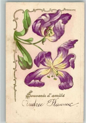 1907 Geschenk der Freundschaft Tulpen