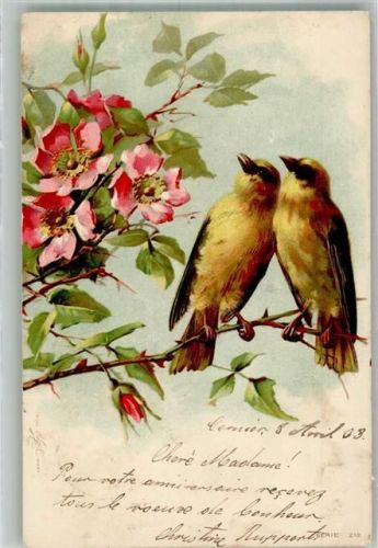 1903 Rosen Trade Kopal Mark Serie 210