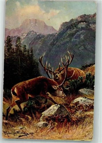1907 Zwei kämpfende Hirsche im Hochgebirge