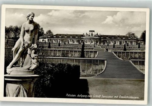 Aufgang zum Schloss Sanssouci m. Gewächshäusern