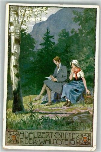 1913 Adalbert Stifter Der Waldsteig Ostmark Bund deutscher Österreicher Stifter-Karte Nr. 25 Künstlerkarte