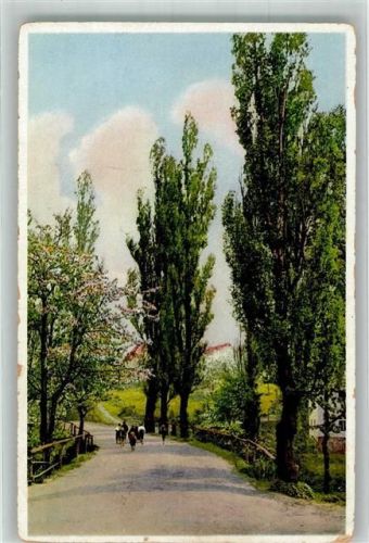 1929 Eine mit Pappeln gesäumte Straße Serie 351 No. 5039