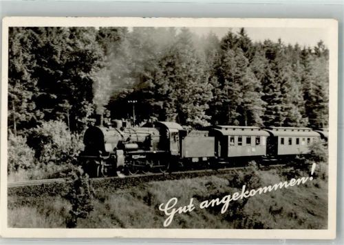 Eisenbahn vor Tannenwald Gut angekommen!