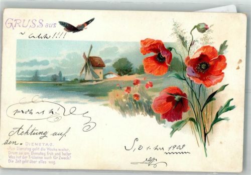 1903 Dienstag Mohnblume Windmühle Schmetterling