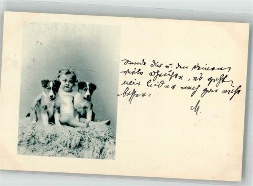 1898 Kleinkind zwischen zwei Collie-Welpen Adelskorrespondenz