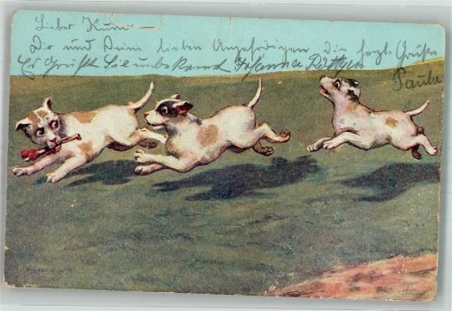 1904 Jack Russell B.K.W.I. 531-5 Einriß