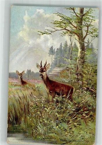 1902 Rehbock Serie 844 Haar- u. Federwild Koch u. Bitriol