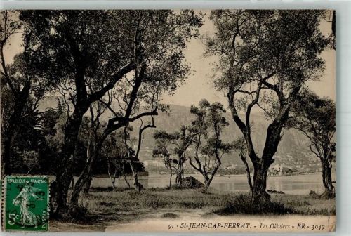 Saint-Jean-Cap-Ferrat 1913 Olivenbäume Briefmarke Bildseite