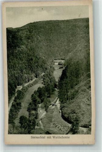 Stadtsteinach 1926 Steinachtal mit Waldschenke Ort lt. Stempel