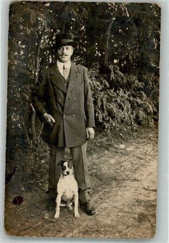 Terrier Brasileiro Mann