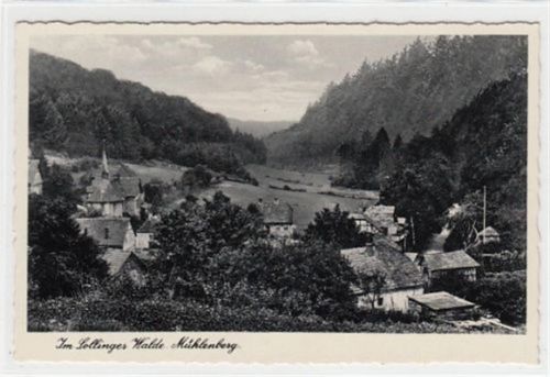 Mühlenberg im Sollinger Wald ungelaufen Top Erhaltung.