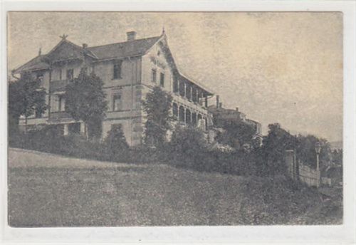 Bad Reinerz Bad Reinerz - Duszniki Zdrój / Kreis Glatz - Klodzko. Villa Cecilie ungelaufen Rückseite leicht stockfleckig, sonst gut erhalten