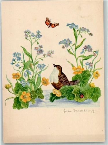 sign. Herta Wasserkampf Vogel Schmetterling Verlag Schäfer AK