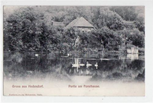 Hedendorf mit Partie am Forsthause gelaufen, ca. 1910. Gute Erhaltung.
