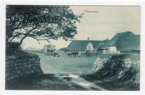 Insel Sylt mit Friesenhaus und Kutsche ungelaufen Gute Erhaltung.