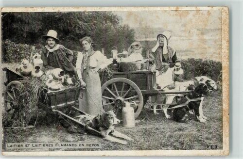 Beruf Laitier et Laitieres Flamands en Repos AK Hundekarren 1915 Gebrauchsspuren
