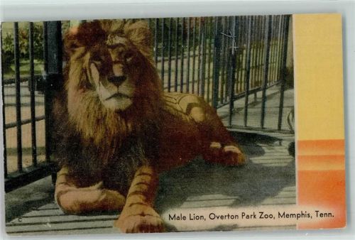 Memphis Zoo Overton Park AK