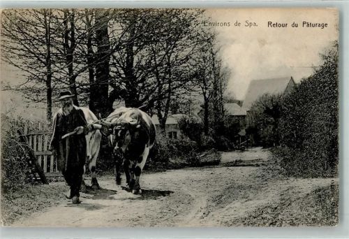 Retour de Paturage Landwirtschaft Bauer Ochsen AK