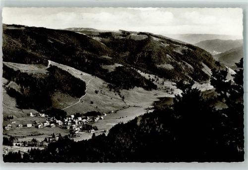 Menzenschwand Blick vom Spießhorn auf Vorderhof Steppberg und St. Blasien