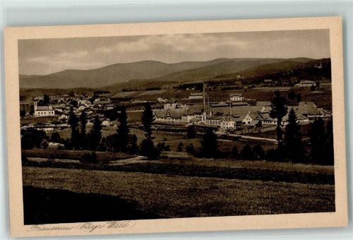 94518 W8377 Frauenau , Bayerischer Wald