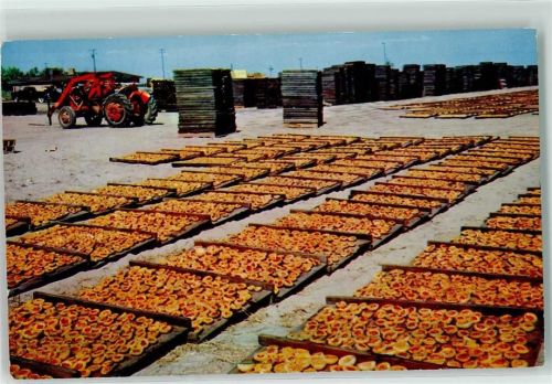 Fruit Drying Yard San Joaquin Valley Kalifornien USA