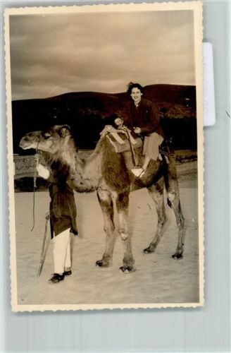 Touristen reiten auf einem Kamel