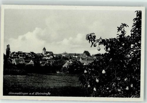 Gimmeldingen Birnenbaum