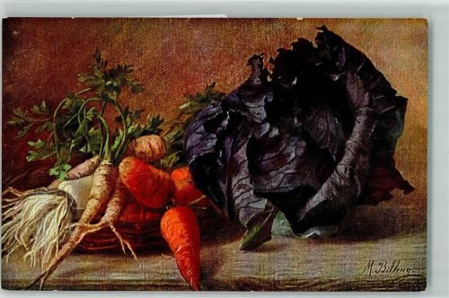 Gemüse Rotkohl Wurzeln AK