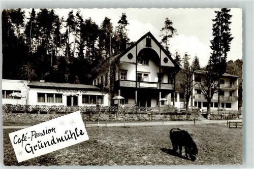 Marktschorgast Pension Gasthaus Cafe Grundmühle Pony