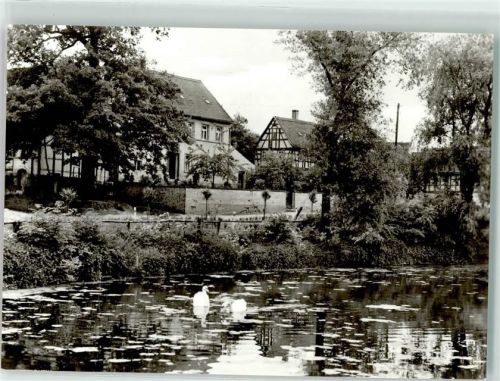 Weißbach Schwäne