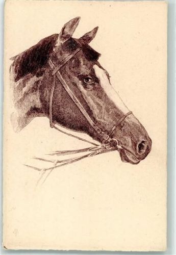 1900 Pferdekopf S.B. Vienne AK