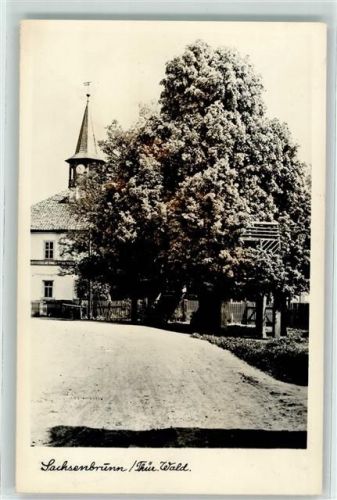 Sachsenbrunn Dorflinde