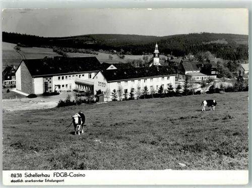 Schellerhau FDGB-Casino Kühe