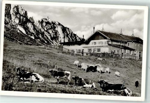 Steinlingalm Kuhweide Kampenwand Hüttenstempel