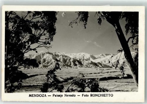 Mendoza Paisaje Nevado