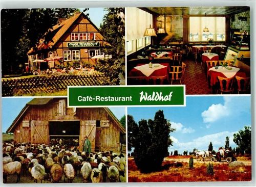 Niederhaverbeck Gasthaus Cafe Waldhof Terrasse Gastraum Kühlschrank Honig Schäfer Schafe Pferdekutsche
