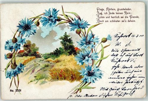 1900 Kornblumen Fliege, Kärtlein , grussbeladen Poesie / Liebe