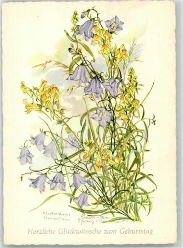 Anne-Marie Torinus Geburtstag Glockenblume Frauenflachs Nr 8008