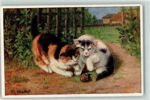 1921 Europäische Hauskatzen sign. M. Stader Ser. 2056