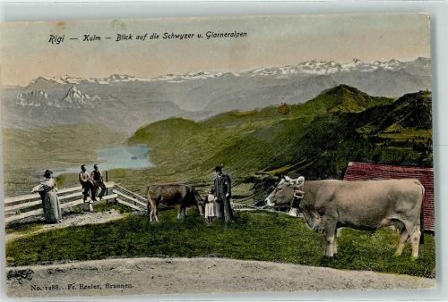 1908 Rigi Kulm Blick auf die Schwyzer u. Glarneralpen