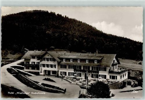 94253 W8379 Bischofsmais - Hotel Wastlsäge Terrasse