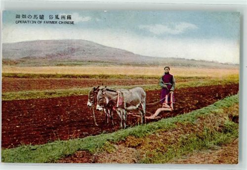 Operation of farmer Chinese Esel Pflug Motiv China