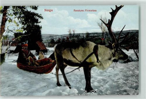 Rentier Schlitten Tracht