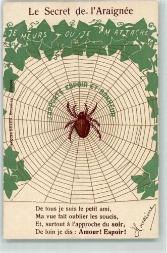 1905 Das Geheimnis der Spinne Spruch