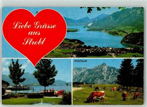 Strobl Postalm Kühe