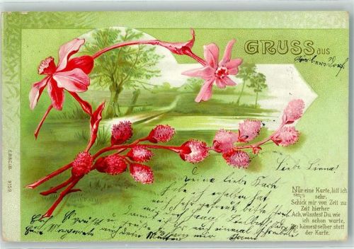 1900 Blumen Gruss aus pruch E.B. C.i.B Nr.9159