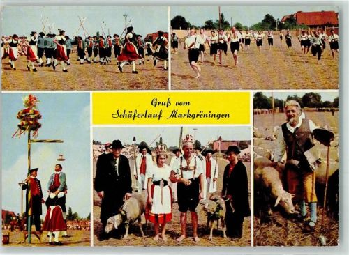 Markgröningen Schäferlauf Schafe