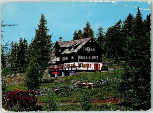 Bonner Hütte DAV Ski und Ferienheim Katschberggebiet 1712 m Hüttenstempel Kühe Foto AK